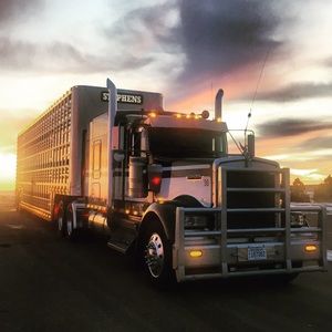 Meet your Posher, Austin